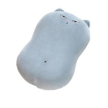 블루포그 고양이 분리형 수면 납작 베개커버 + 메모리폼 세트, 03 파란색