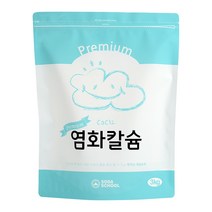 소다스쿨 프리미엄 염화칼슘 제설 제습 리필용, 3kg, 1개