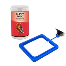 모스트펫 구피 전용 사료 82g + 사각 피딩링, 1세트