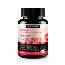 뉴트리디데이 프리미엄 요로건강 크랜베리 24g, 1개