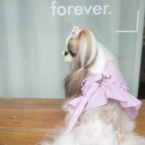 파스텔펫 반려동물 프릴 하네스 + 리드줄 세트 XXS, 퍼플, 1세트