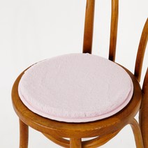 인룸 에코퍼 극세사 쿠션 원형 방석