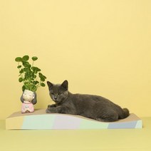 PETCA 고양이 스크래쳐 특대형 물결형, 혼합색상, 1개