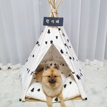 반려동물 인디언 텐트, 검은소나무