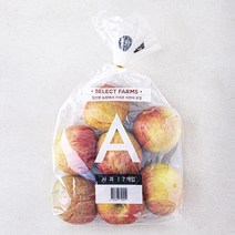 셀렉트팜 GAP 인증 A사과 중소과 7입, 1.5kg, 1개