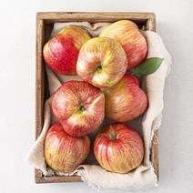 셀렉트팜 못난이 사과 얌 5~7입 중과, 1개, 1.5kg