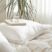 아이르 모어슬립 면 구스필 베개솜 + 베개커버 세트, 베이지그레이