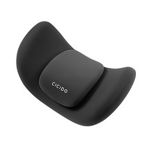 카템 CICIDO 투포인트 차량용 목쿠션 CT288, 블랙, 1개