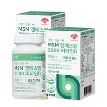 동화약품 관절 연골 뼈 MSM 엠에스엠 2000 비타민D 84g, 2개, 120정, 120정