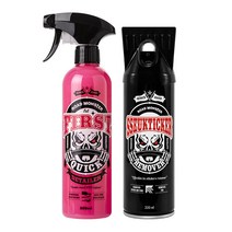 로드몬스터 차량용 퍼스트 퀵 디테일러 500ml + 쓱티커 제거제 220ml 세트, 1세트
