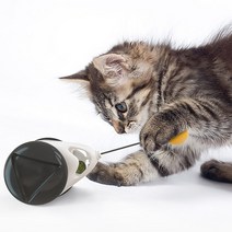 고양이 스마트 캣닢 장난감, 혼합색상, 1개