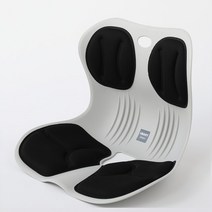 [허리보조의자] 스마트체어 인체공학 자세교정 의자, 블랙투톤