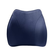 카템 e편한 등쿠션 CT220, 블루, 1개