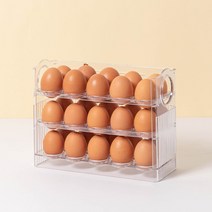 생활백서 에그락 싱싱 30구 계란 트레이, 투명