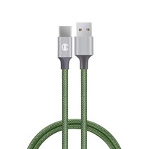디씨네트워크 메탈 패브릭 USB C타입 고속 충전케이블, 2m, 그린
