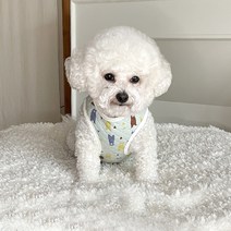 바이담수미 강아지 방울곰 누빔 조끼, 민트