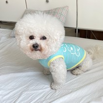 바이담수미 반려동물 야광 쿨 나시, 블루