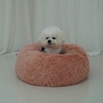 레드퍼피 반려동물 봄날쿠션, 핑크