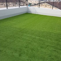 홈그린월드 28mm PX2800봄가을인조잔디, PX2800KL봄 / 200cm X 50cm, 1장