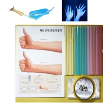 5인 팔 근육 모형 만들기 키트 신체 기초 파악 과학교구 초등