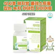 카테틴 녹차 내장지방 엽산다이어트 미네랄허릿살 복부 건강한 여자 Diet 술살아랫배빼기 단기다이어트