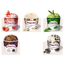 코스트코 하겐다즈 미니컵 컬렉션 아이스크림 100ML 10개+DRY아이스포장/무료배송, 아이스박스+드라이아이스