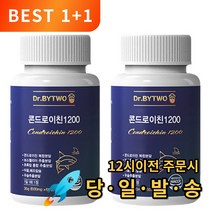 상어연골 콘드로이친1200 철갑상어, 2통, 60정
