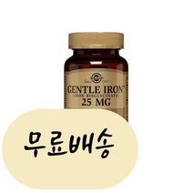 솔가 철분 젠틀 아이언 25mg 90/180베지캡슐, 01. 철분 25mg 90식물성 캡슐, 1개, 90정