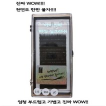 루벤스 아이스타 속눈썹
