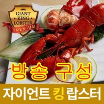 [방송구성] 골든사이즈 자이언트 킹 랍스터 골든 (600~900g)x4마리