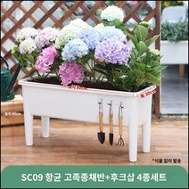 킹마이크로 플라스틱 항균 고각 종채반+후크삽 4종세트 대 2세트 수경재배 스마트팜 채소 야채 식재용, 단품