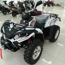 400cc 차량 사륜 4륜 산악 비치 해변 오프로드 바이크 오토바이 ATV 성인 스포츠카, 단일사이즈