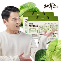 제주스 JEJU 제주 양배추브로콜리즙 3000ml, 60p, 2박스, 100ml