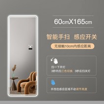 전신거울 스탠드 욕실 대형 벽걸이 긴 led 장식 바닥 거울 직사각형 빛 대형 거울 룸, j 스마트 60x165cm