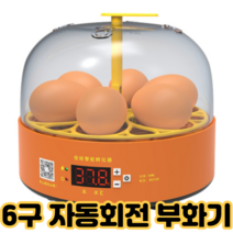[사은품 증정]자동 회전 온도조절 병아리 계란 달걀 닭 알 부화기 부화기계 6구, 6구자동회전부화기