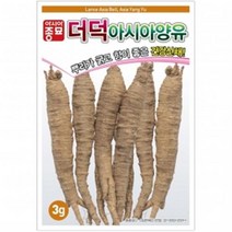 (더덕씨앗종자) 더덕·양유(3g)