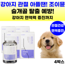 강아지 영양제 관절 조인트 슬개골탈구 애견 강아지 면역 관절영양제 글루코사민 콘드로이친 관절건강 반려견 노견 슬개골 강아지관절영양제 보스웰리아 초록잎홍합 MSM 칼슘 사은품 증정, 뼈/관절강화, 4통, 연어맛