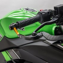 ZETA LEVER GUARD 레버 가드 (ZS72-1000 ZS72-1004 ZS72-1008), 골드(ZS72-1004)