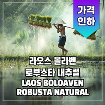 (커피생두) 175 라오스 볼라벤 로부스타 내추럴 1kg, 1개