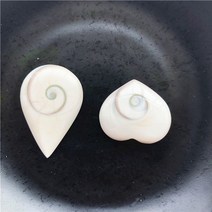 조개화석 암모나이트 화석 2 개몫 자연 심장 모양의 태양 껍질 사랑 광물 표본 수집, 1물방울1하트