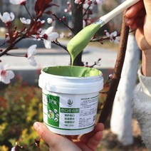 나무 상처 치료제 톱신페스트 영양제 코팅 과수원, 500g (갈색)