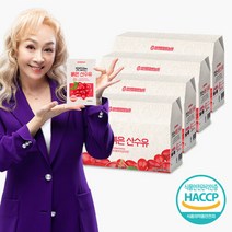 참앤들황토농원 맛있는 산수유즙 건강주스 4박스(80mlx120포), 맛있는 산수유즙 4박스 (120포)