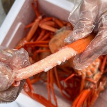 독도 홍게 6kg 자숙 프리미엄 (85%), 단품