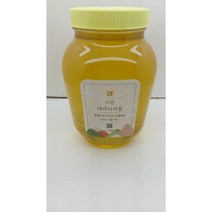 지리산 산청 벌꿀 2.45kg (하루 배송 99%), 1개