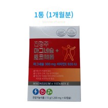 NEW 진정주 마그네슘+토코페롤 60캡슐 1통 진약사몰
