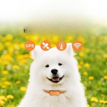 강아지 탐지기 목줄 GPS 위치추적기 산책 목걸이 애견, 4G 핑크