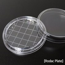 10ea 사각 배양 실험용 PS 눈금 샬레 접시 기자재 세포 체험 화학 화학실험 교육 관찰 과학실 도구