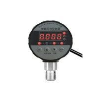 가스 질량 유량계 수압 유압 범용 디지털 측정기 산소 질소, 0-30MPa (300kg)