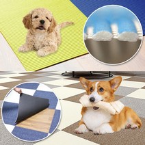 매트 카펫 고양이 미끄럼방지 강아지카페트 슬개골탈구 캣 타워 애견매트 스크래쳐 홈스월드, 37. 양면테이프(3cm x 10M)