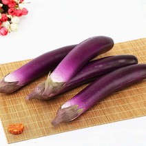 Lifelike Artificial Eggplants Simulation Fake Vegetable Photo Props Home Kitchen Decoration Kids Tea, 한개옵션0